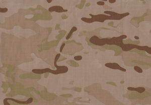 MULTICAM 1 